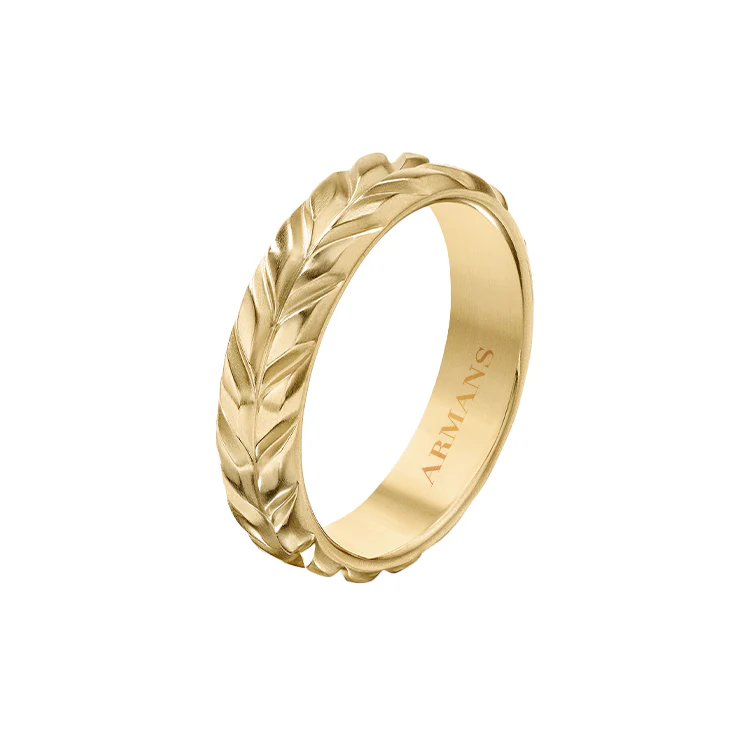 Chevron Ridge Band - Image 2